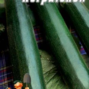 Кабачок цукіні Негритенок пакет 30 насінин