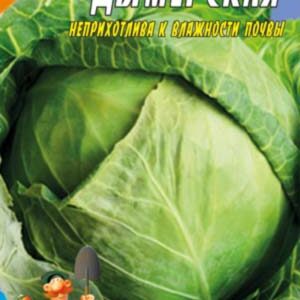 Капуста Димерська пакет 3 грами