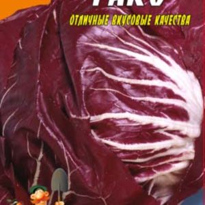 Капуста червонокачанна Гако пакет 50 насінин.
