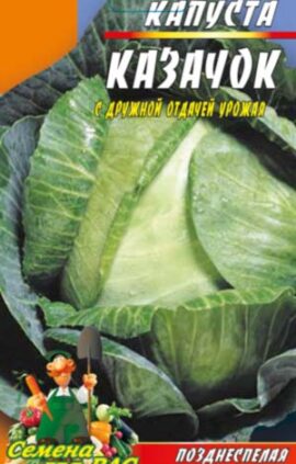 Капуста Козачок F1 пакет 3 грами