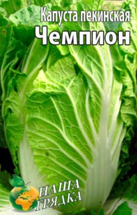 Капуста пекінська Чемпіон пакет 50 насінин.