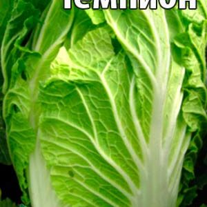 Капуста пекінська Чемпіон пакет 50 насінин.