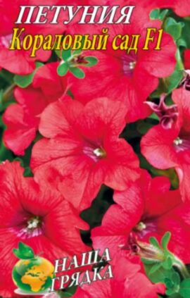 Петуния Коралловый сад F1 пакет 0