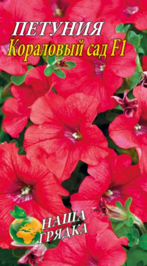 Петуния Коралловый сад F1 пакет 0
