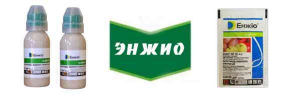 Купити інсектицид Енжіо в Україні