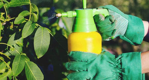 Купити інсектициди з ціною в Україні
