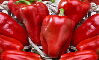 насіння солодкого перцю