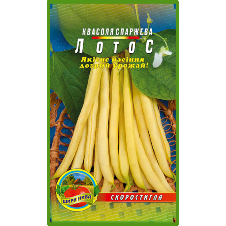 Квасоля спаржева Лотос пакет 10 грамів