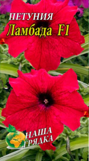 Петуния Ламбада пакет 0