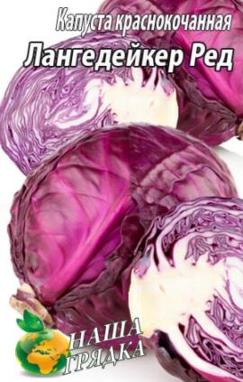 Капуста червонокачанна Лангедейкер Ред пакет 50 насінин.