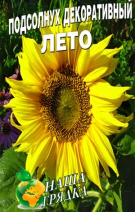 Соняшник декоративний Літо