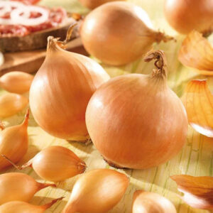 Цибуля Коррадо F1 сітка 10 кг розмір 8/21