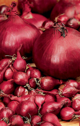 Цибуля Ред Барон сітка 10 кг розмір 8/21