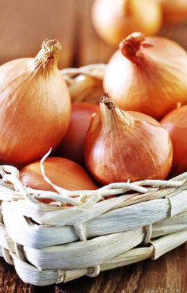 Цибуля Шетана сітка 10 кг розмір 8/21