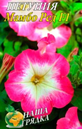 Петуния Мамбо Ред F1 пакет 0