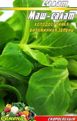 Маш Салат пакет 0