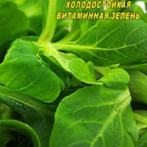 Маш Салат пакет 0