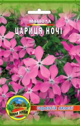 Матіола Цариця ночі пакет 1000 насінин