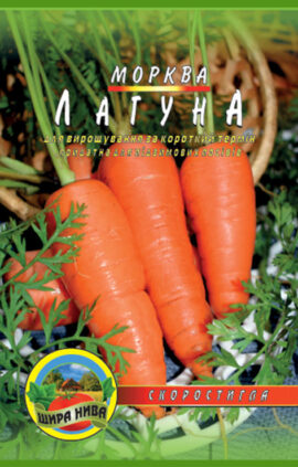Морква Лагуна пакет 5000 насінин
