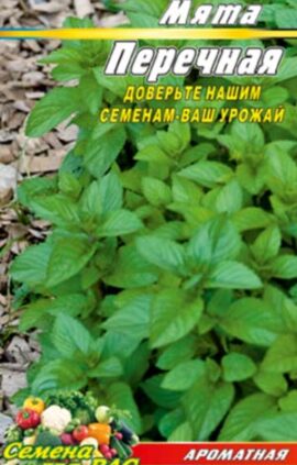 М'ята перцева