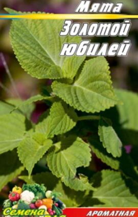 М'ята Золотий ювілей