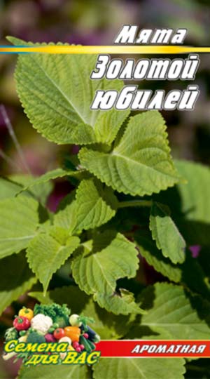 М'ята Золотий ювілей