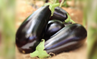 Купити насіння баклажанів