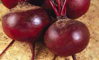 Насіння буряків купити