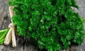 Купити насіння пряних та зелених культур