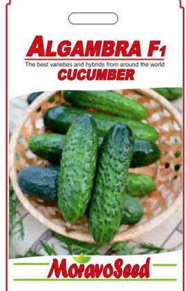 Огірок Алагамбра пакет 10 насінин