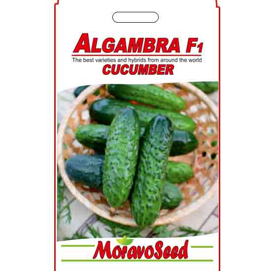 Огірок Алагамбра пакет 10 насінин