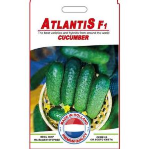 Огірок Атлантіс пакет 10 насінин