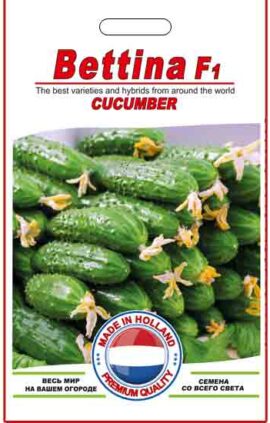 Огірок Беттіна пакет 10 насінин