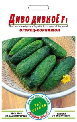 Огірок Диво дивне пакет 12 насінин