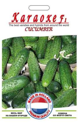 Огірок Караоке пакет 10 насінин