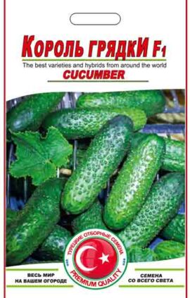 Огірок Король грядки пакет 12 насінин