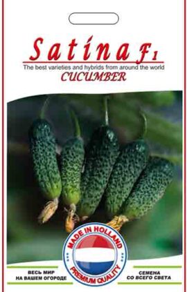 Огірок Сатіна пакет 10 насінин
