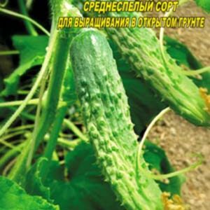 Огірок Лелека пакет 10  насінин
