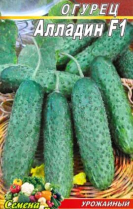 Огірок Алладін F1 пакет 10 насінин