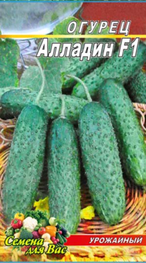 Огірок Алладін F1 пакет 10 насінин