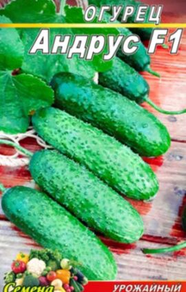 Огірок Андрус F1 пакет 10 насінин