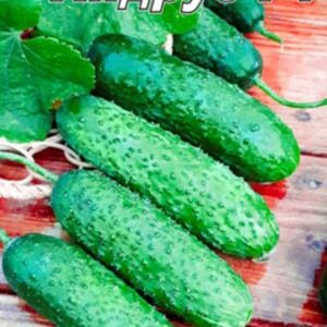 Огірок Андрус F1 пакет 10 насінин