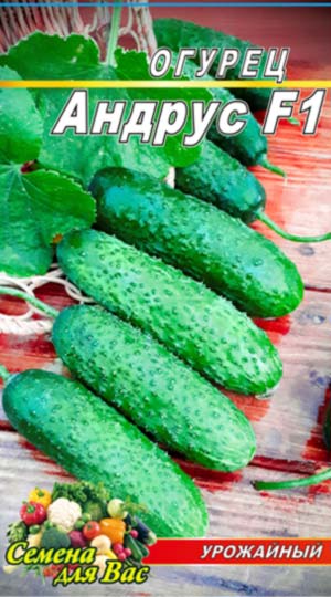 Огірок Андрус F1 пакет 10 насінин