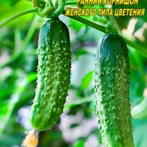 Огірок Аннушка F1 пакет 10 насінин