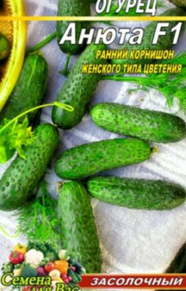 Огірок Анюта F1 10 насінин