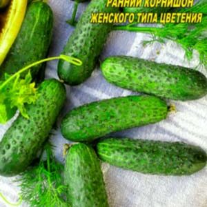 Огірок Анюта F1 10 насінин
