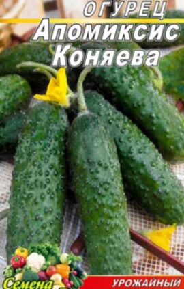 Огірок Апоміксис Коняєва пакет 10 насінин
