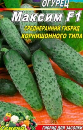 Огірок Максим F1
