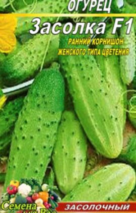 Огірок Засолювання F1 пакет 40 насінин