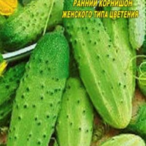 Огірок Засолювання F1 пакет 40 насінин